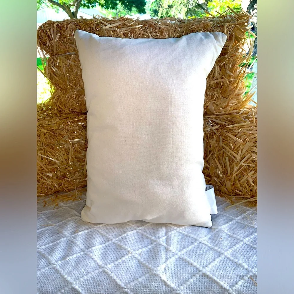Halloween Decor Pillow Boo Grey- NWT
